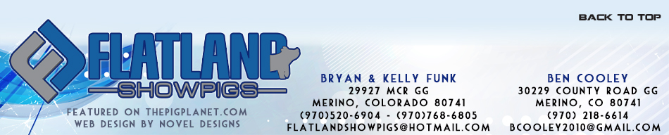 Flatland Showpigs  - Merino & Sterling, CO