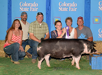 Flatland Winners