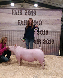 Flatland Winners