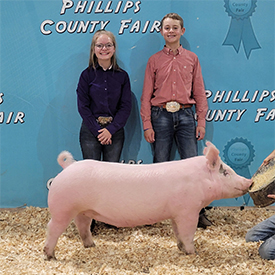 Flatland Winners