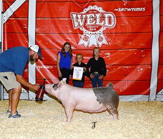 Flatland Winners