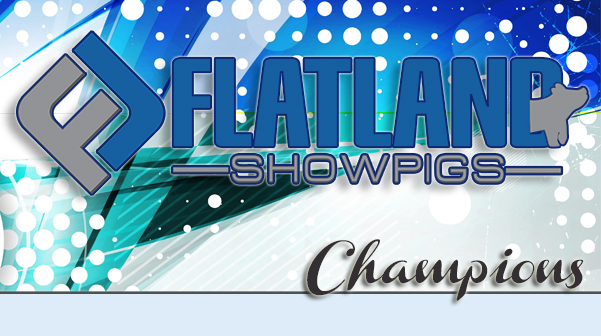 Flatland Showpigs : Champions