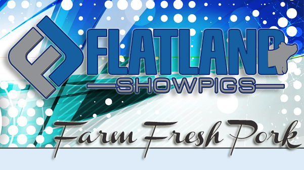 Flatland Showpigs : Upcoming Sales