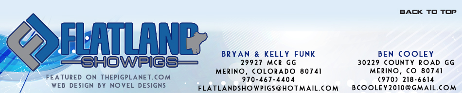 Flatland Showpigs  - Merino & Sterling, CO