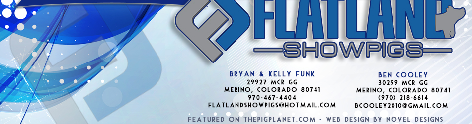 Flatland Showpigs  - Merino & Sterling, CO