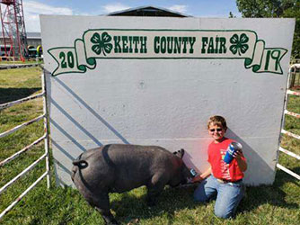 Flatland Showpigs Winners