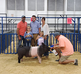 Flatland Showpigs Winners
