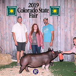 Flatland Showpigs Winners