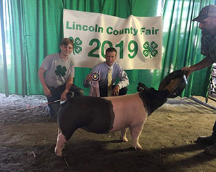 Flatland Show Pigs Winners