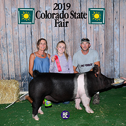 Flatland Showpigs winners