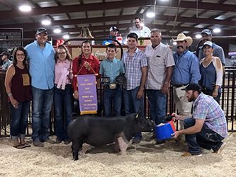 Flatland Winners