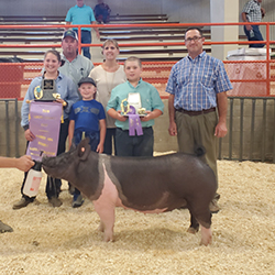 Flatland Winners