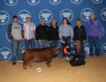 Flatland Winners