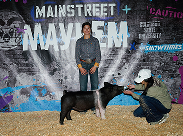 Flatland Winners