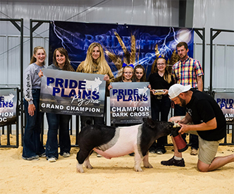 Flatland Winners